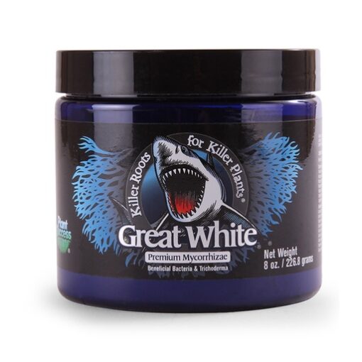 C8SUC00003DE Great White® 8 oz. 2268 gr German